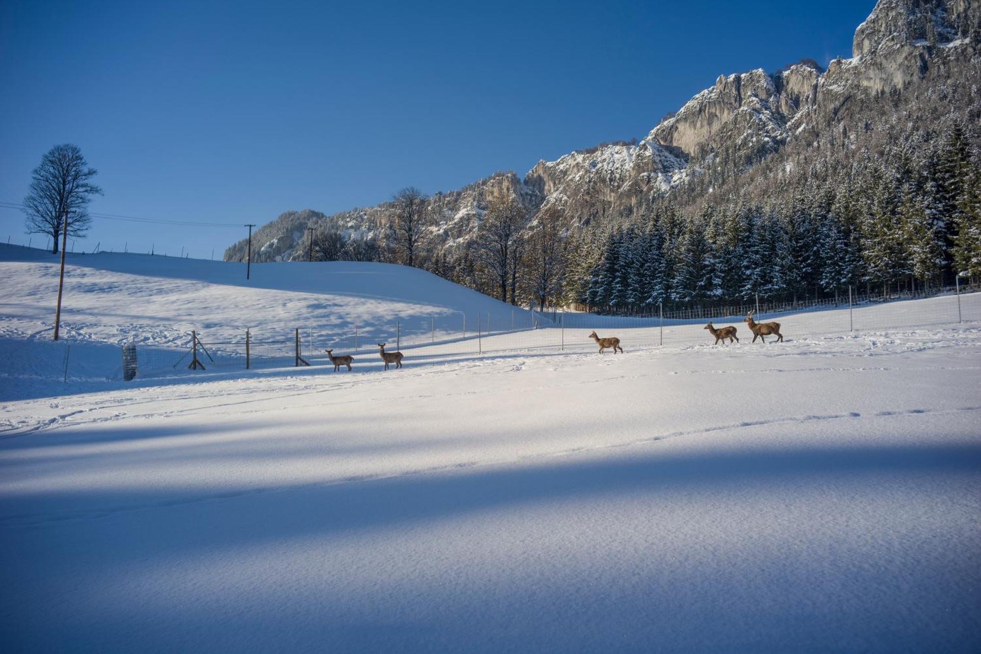 Hotel Berghof Haselsberger Sankt Johann in Tirol Exteriér fotografie