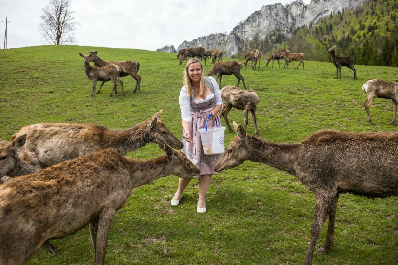 Hotel Berghof Haselsberger Sankt Johann in Tirol Exteriér fotografie